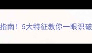 金毛犬选购避坑指南5大特征教你一眼识破优劣新手必看