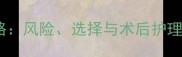 隐睾手术全攻略风险选择与术后护理养狗必看