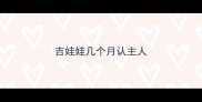 吉娃娃几个月认主人