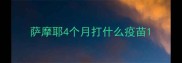 萨摩耶4个月打什么疫苗