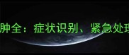 猫咪嘴巴和爪子红肿全症状识别紧急处理与科学预防指南