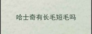 哈士奇有长毛短毛吗