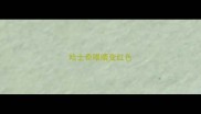 哈士奇眼睛变红色