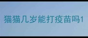 猫猫几岁能打疫苗吗