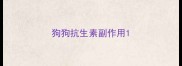 狗狗抗生素副作用