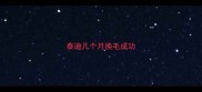 泰迪几个月换毛成功