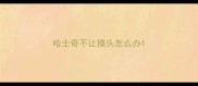 哈士奇不让摸头怎么办