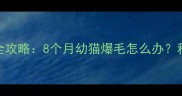 缅因猫换毛期护理全攻略8个月幼猫爆毛怎么办科学应对方法大公开