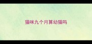 猫咪九个月算幼猫吗