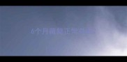6个月藏獒正常身高