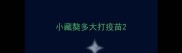 小藏獒多大打疫苗