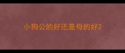 小狗公的好还是母的好