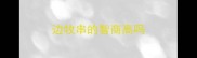 边牧串的智商高吗