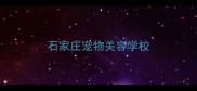 石家庄宠物美容学校