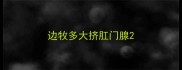 边牧多大挤肛门腺