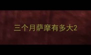三个月萨摩有多大