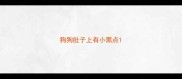 狗狗肚子上有小黑点