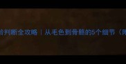 边牧年龄判断全攻略从毛色到骨骼的5个细节附对比图