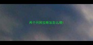 两个月阿拉斯加怎么喂
