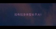 拉布拉多体型长不大