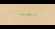 小狗转氨酶175