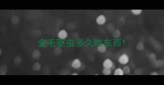 金毛驱虫多久吃东西
