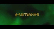 金毛能不能吃鸡骨
