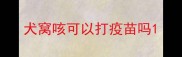 犬窝咳可以打疫苗吗