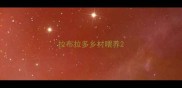 拉布拉多乡村喂养