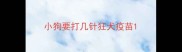 小狗要打几针狂犬疫苗
