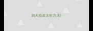 幼犬疫苗注射方法