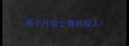 两个月哈士奇总咬人