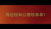 母边牧和公德牧串串