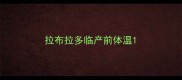 拉布拉多临产前体温