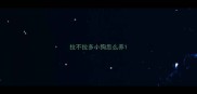拉不拉多小狗怎么养