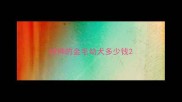 纯种的金毛幼犬多少钱