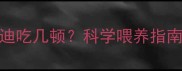三个月大的泰迪吃几顿科学喂养指南与营养搭配全