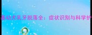 5个月柯基幼犬乳牙脱落全症状识别与科学护理指南
