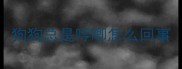 狗狗总是哼唧怎么回事