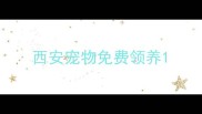 西安宠物免费领养