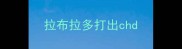 拉布拉多打出chd