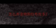 怎么养宠物狗拉布拉多