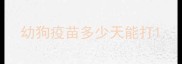 幼狗疫苗多少天能打