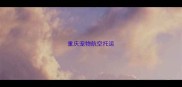 重庆宠物航空托运