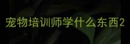 宠物培训师学什么东西