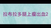 拉布拉多腿上瘤出血