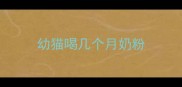 幼猫喝几个月奶粉