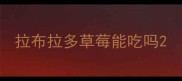 拉布拉多草莓能吃吗