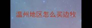 温州地区怎么买边牧
