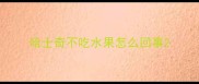 哈士奇不吃水果怎么回事